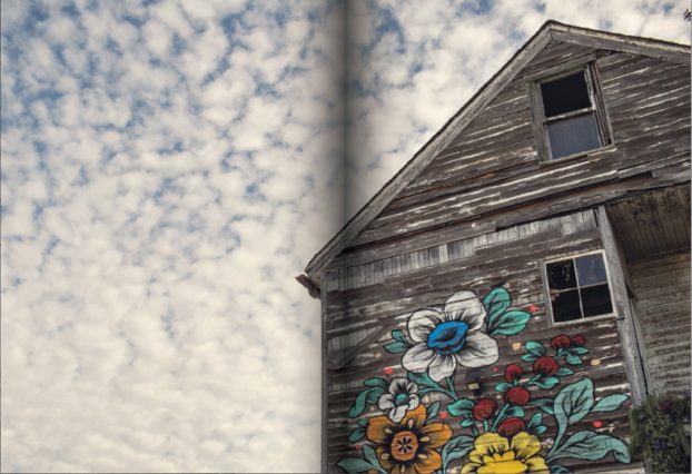 This iconic photo captures the mural painted on the back of The Flower House by local artist Louise "Ouizi" Chen 
