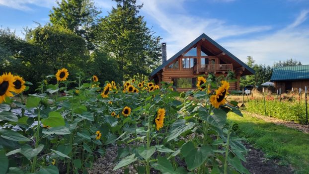 The log cabin at Pop's Flowers