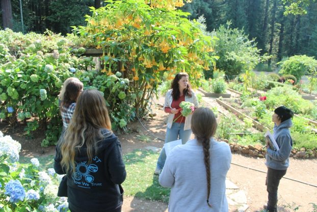 Our students first followed Teresa through her cutting garden to understand how she selects flowers, foliages and vines.