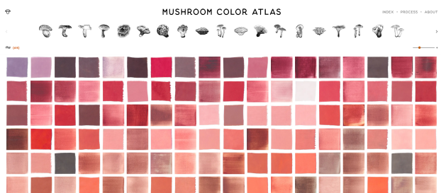 The Mushroom Color Atlas