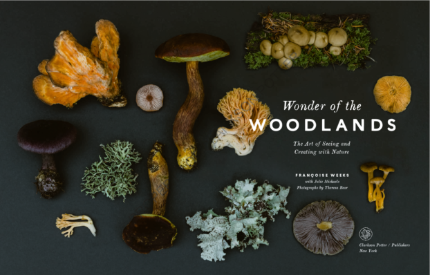 Wonder of the Woodlands Title Page