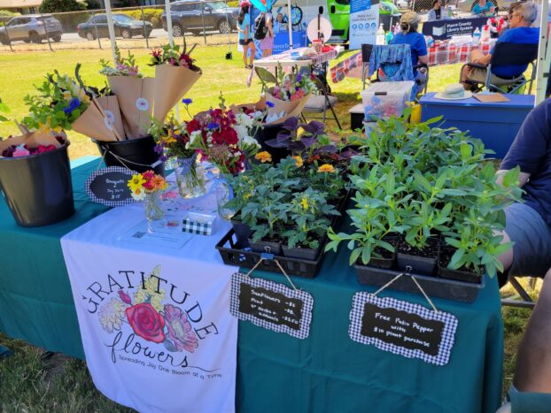 Gratitude Flowers plant sale