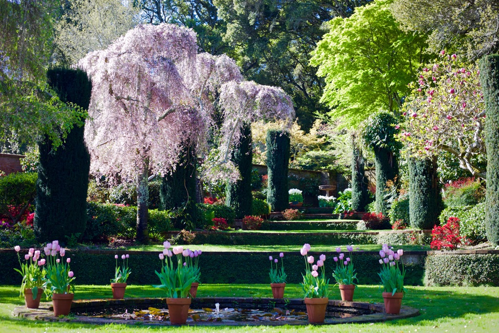 ※*！様 House on the Hill ParentPants Flowe Episode 509: From Cutting Gardens to Flowers for the Home, a