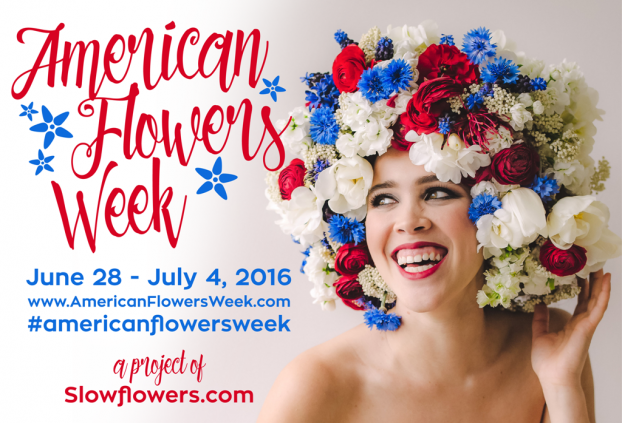 American Flowers Week. Our Flower 'Fro designed by Susan McLeary, Passionflower Events.