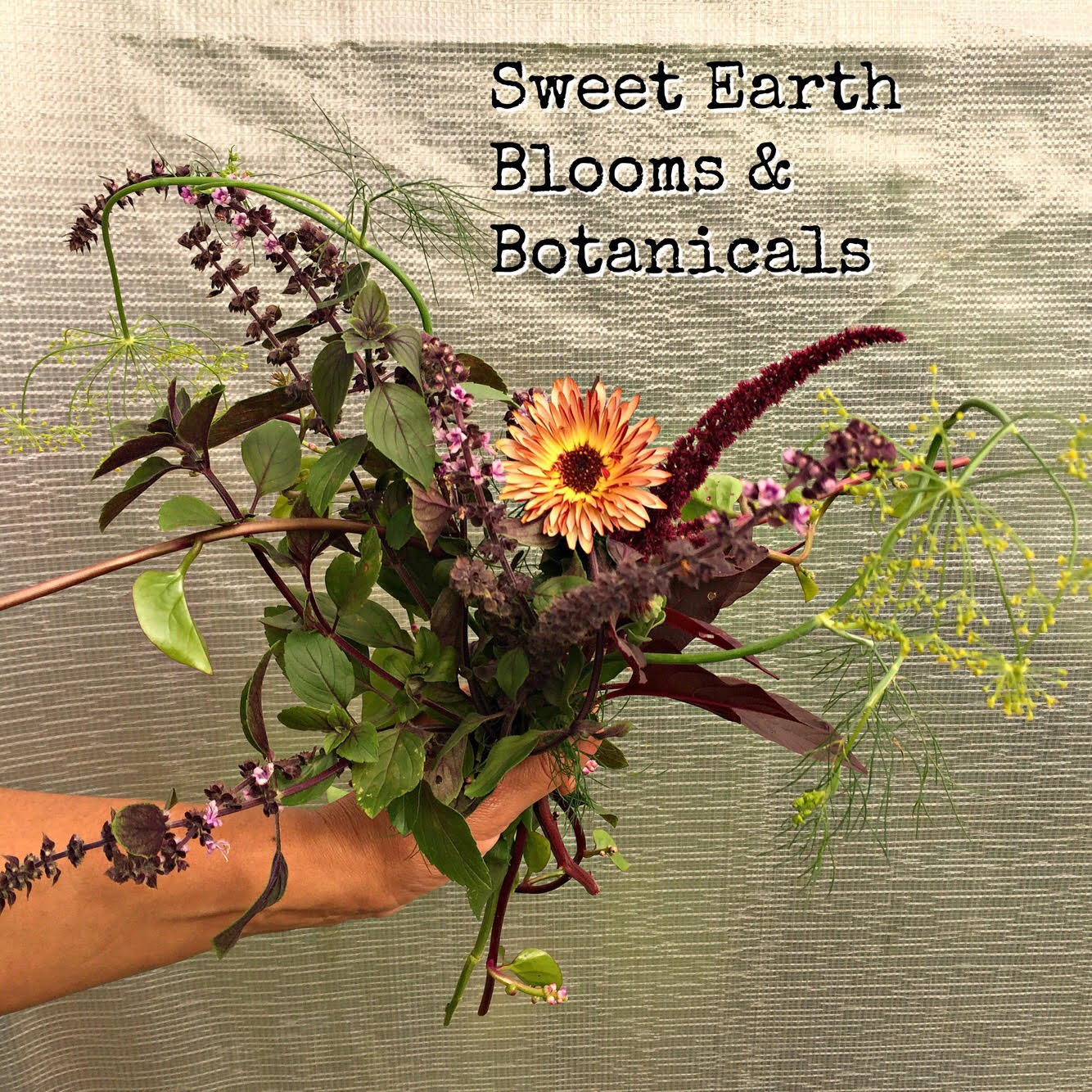 Episode 333: Flowers and Herbs with Xenia D'Ambrosi of New York's Sweet  Earth Co. and News about the PNW Cut Flower Growers Meet-Up - Slow Flowers  Podcast with Debra Prinzing